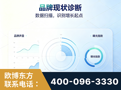 北海-品牌现状诊断